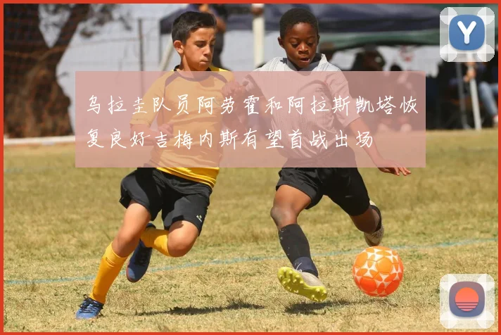 乌拉圭队员阿劳霍和阿拉斯凯塔恢复良好吉梅内斯有望首战出场