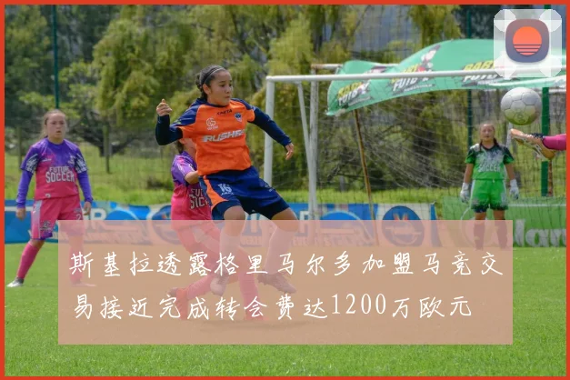 斯基拉透露格里马尔多加盟马竞交易接近完成转会费达1200万欧元