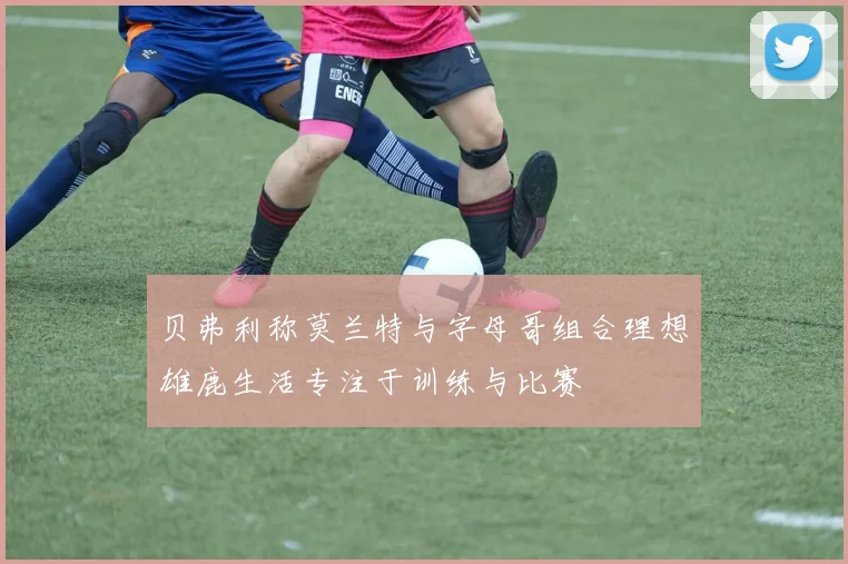 贝弗利称莫兰特与字母哥组合理想雄鹿生活专注于训练与比赛